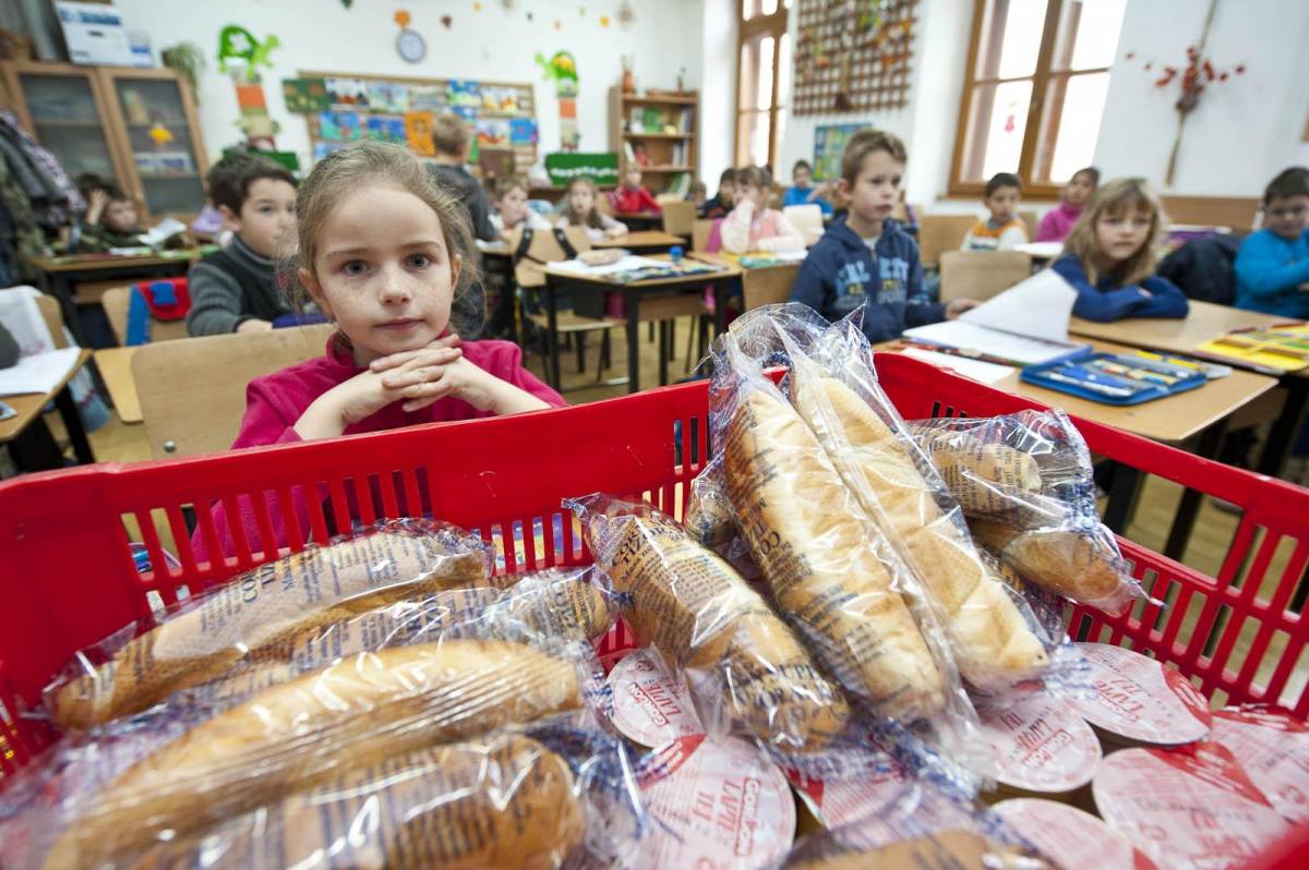 •  Fotó: Kristó Róbert