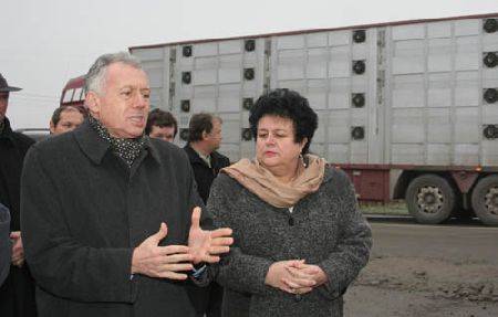 Hiábavaló útjavítás?