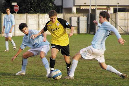 Lila-fehérek szövetsége