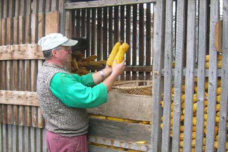 A jövőben megnő a vegyszermentes táplálék iránti igény