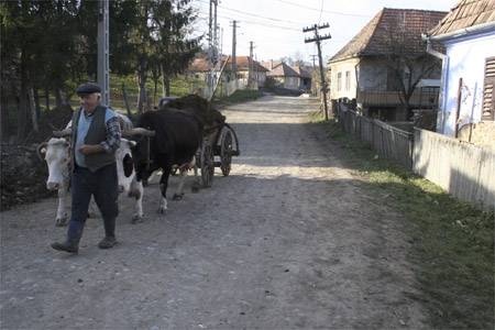 Felzárkóztatás zsebpénzből?