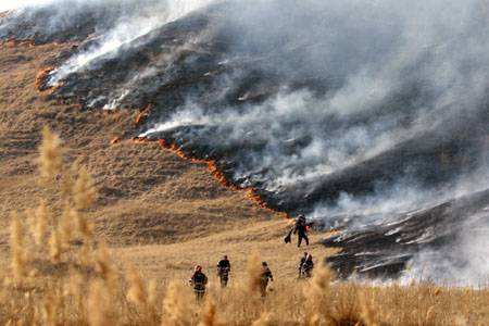 Pusztító tarlótüzek
