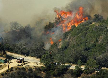 Hollywoodi lángtenger 