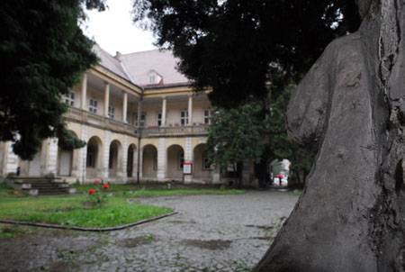 Összefogás a palotáért