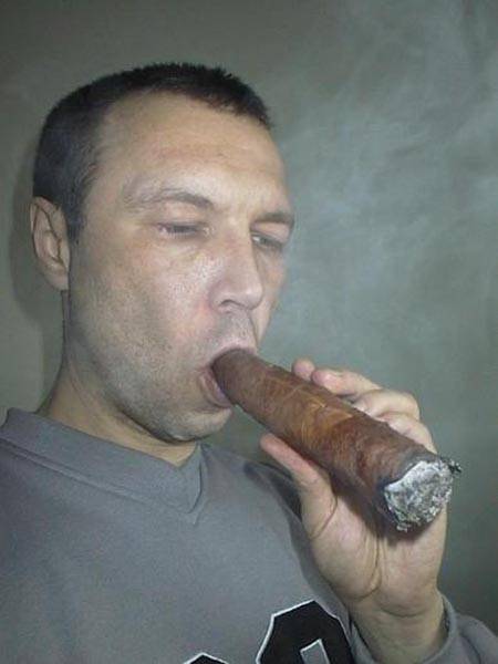 Vonatok, buldózerek és baromfik