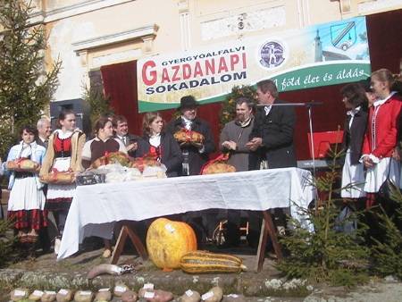 Gazdanap kampányfűszerrel