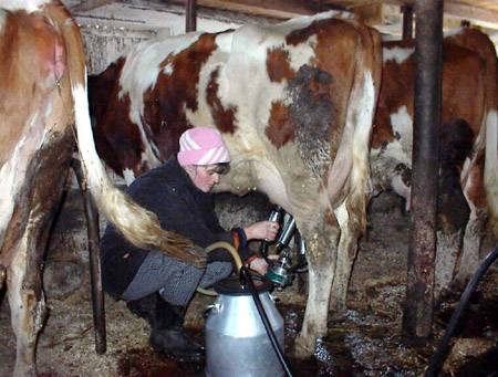Kis farm, kis támogatás