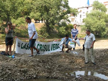 Megmenekültek a fűzfák
