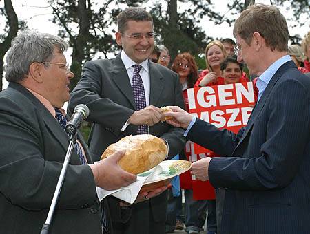 Hasadó budapesti koalíció