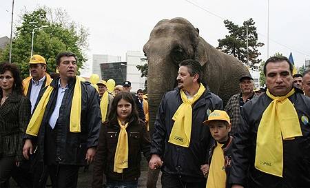 Kampány elefánttal