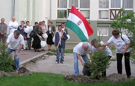 Vártán a kapitányok