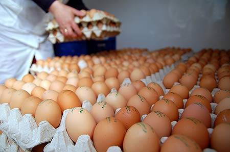 Kedvelt a román tojás