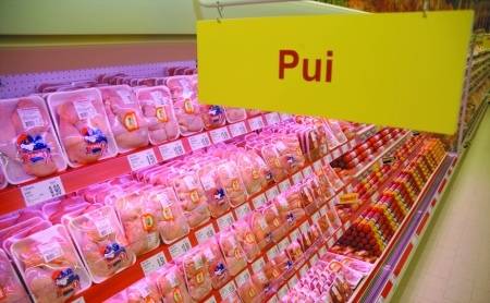 Az élelmiszer az új kőolaj