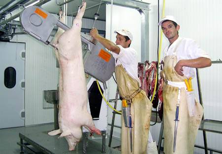 A kulcsszó: a minőség