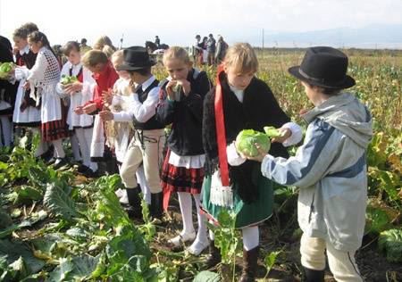Hagyománnyal a minőségért