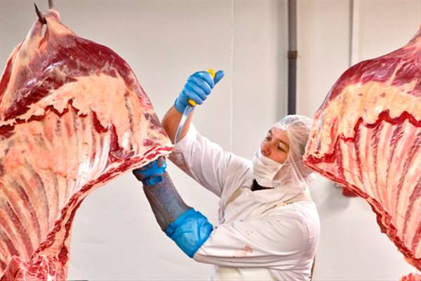 Lóhúsbotrány: Erdélybe vezetnek a romániai szálak