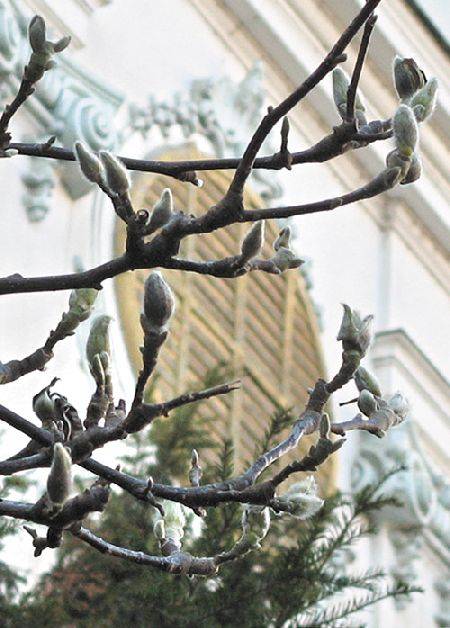 •  Fotó: Krónika