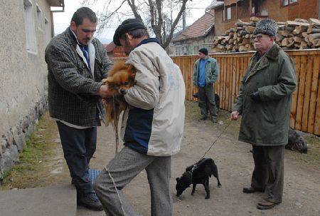 •  Fotó: Biró István