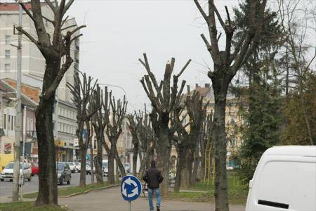 •  Fotó: Krónika