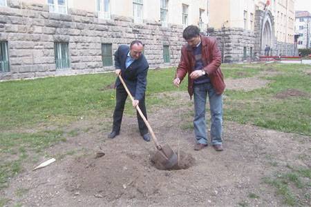 •  Fotó: Krónika