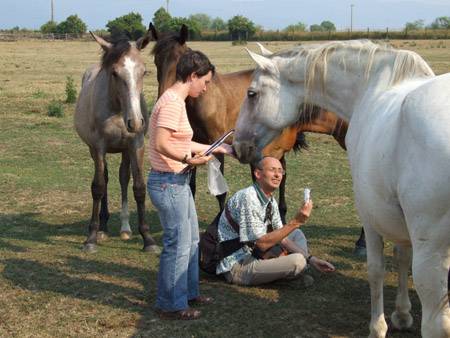 •  Fotó: A szerző felvétele