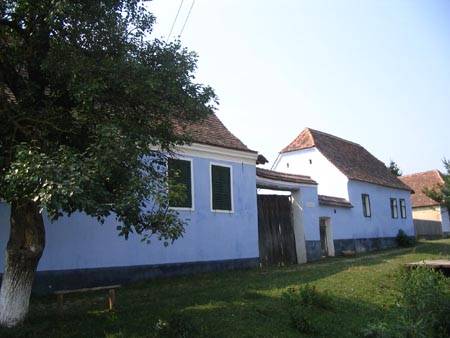 •  Fotó: A szerző felvétele