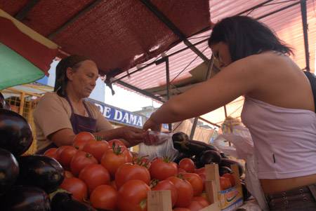•  Fotó: Biró István
