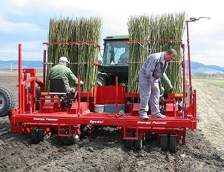 &bullet;  Fotó: Krónika