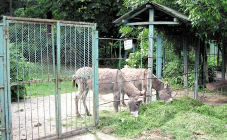 &bullet;  Fotó: Krónika