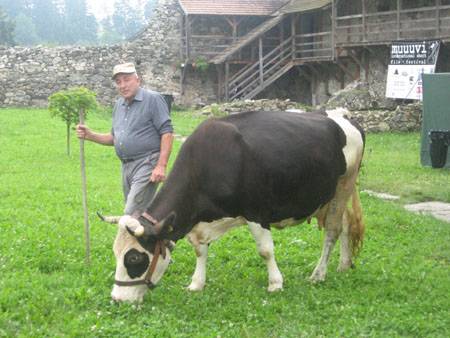 •  Fotó: A szerző felvétele