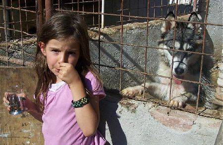 •  Fotó: A szerző felvétele