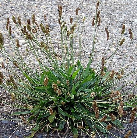 &bullet;  Fotó: Krónika