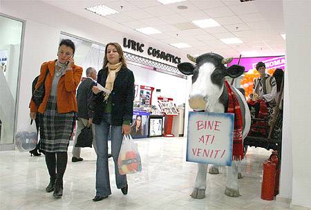 •  Fotó: Gozner Gertrud