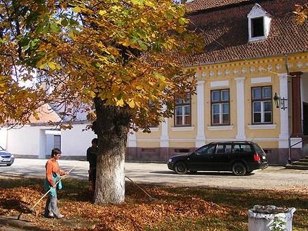 •  Fotó: A szerző felvétele