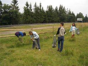 •  Fotó: Krónika