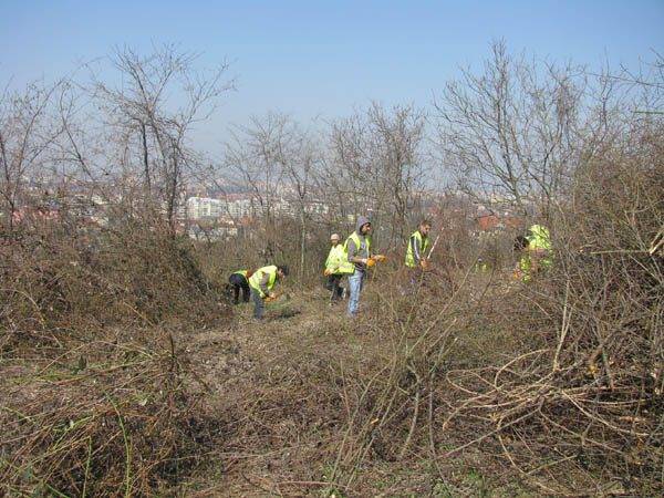 Alternatív törlesztési megoldással rukkol elő a nagyváradi tanács