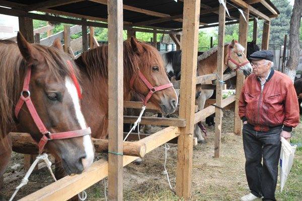 Nemzetközi agráripari kiállítás Kolozsváron, több mint 250 résztvevővel