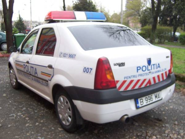  Rendőrködő állatvédők Szatmáron