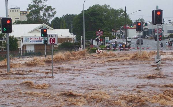 Cápák a város utcáin