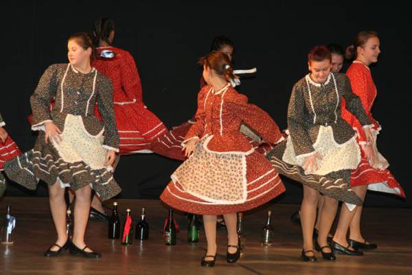 Új kulturális egyesület alakult Szatmárnémetiben