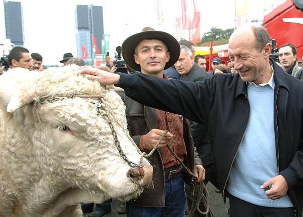 Băsescu: vissza a néphez!