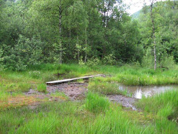 Keresik a Székelyföld 7 csodáját