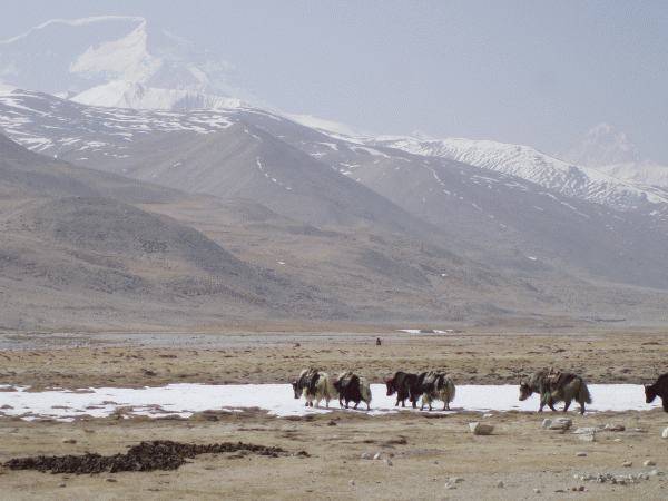 Székelyek a magasban: Tuliték elérték a kínai alaptábort 