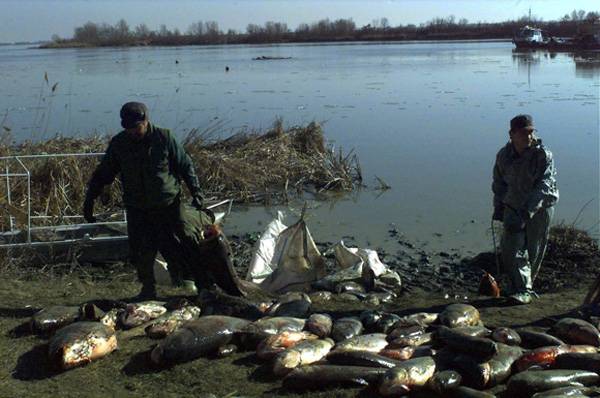 Közös boldogulásunk a Tisza völgyében