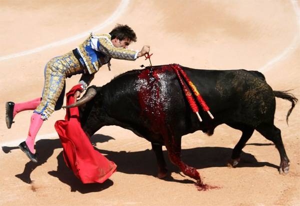 Betiltották a bikaviadalokat Katalóniában