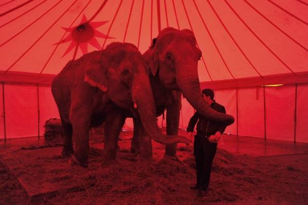 &bullet;  Fotó: Biró István