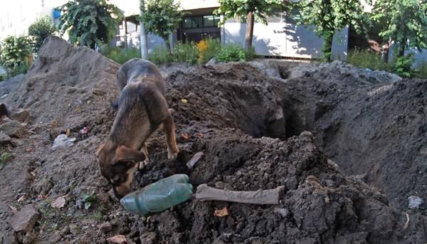&bullet;  Fotó: A szerző felvétele