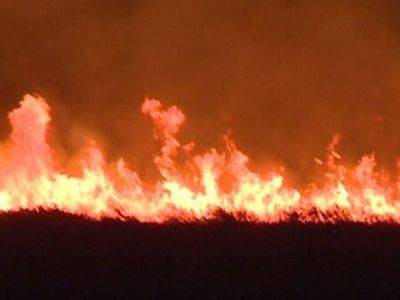Több száz hektárnyi terület égett le a Duna-deltában 