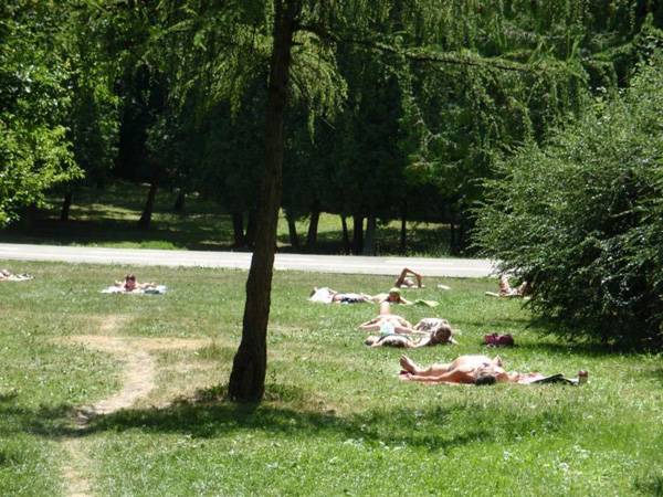 Parkokat korszerűsítettek, szociális lakást hoznak létre Kolozsváron