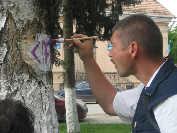 Festik az turistajelzéseket Gyegyóban